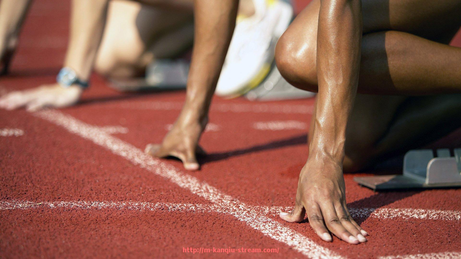 看球直播-世俱杯决赛门票购买指南:官方渠道与防伪辨别技巧